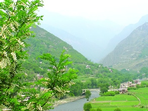 扶贫也要尊重群众意愿和市场规律