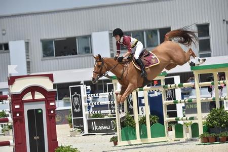 2016上海浪琴环球马术冠军赛亮点闪烁