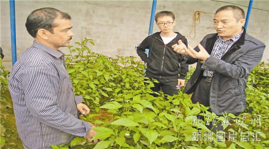 整顿软弱涣散村级组织 强化脱贫攻坚保障