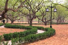 “洛阳农博会”打通农产品进城多条渠道