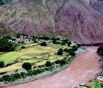 盐井葡萄 唱响&ldquo;生态曲&rdquo; 念活&ldquo;富民经&rdquo;