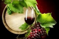 葡萄酒领域的中国声音：宁夏、山西葡萄酒获国际认可