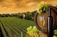 5月A股迎“开门红” 酿酒造酒、农业两板块领涨