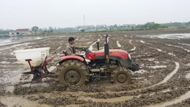 精准施肥 节水节肥 智慧土肥带来土净苗壮