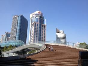 山寨展抢滩东大门玫瑰灯海