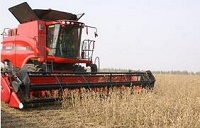 对话：中德农场主说了啥