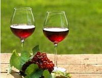 与进口“贴身肉搏” 国产葡萄酒走出低价