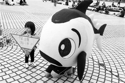 台湾喊“住手” 之缘又到鲔鱼入港季