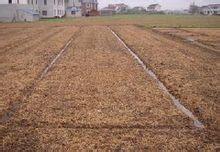 秸秆转化利用为首都天空添一抹蓝