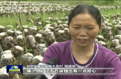 阜城县开展万名农民精准脱贫大培训