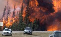 加拿大森林大火持续肆虐 灾民不满情绪升温