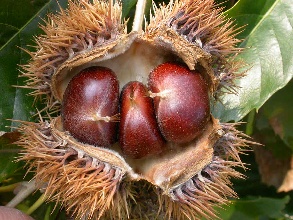 &ldquo;百年燕山&rdquo;食客点赞