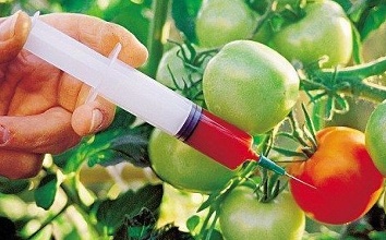 中国采取全球最严标识制度确保转基因知情权