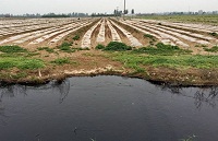 点名问责:看首次中央环保督察冲击波有多厉害