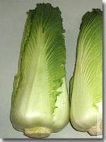 &ldquo;慈玉&rdquo;白菜告别&ldquo;白菜价&rdquo;