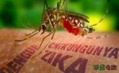 北京现首例输入性寨卡病毒病例 系委内瑞拉传入