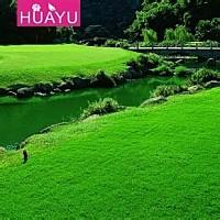 斯皮思回归尼尔森锦标赛 争德州首冠