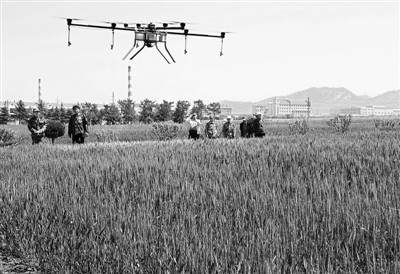 无人机植保点亮农业现场会