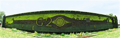 G20杭州峰会标识植物画轴亮相