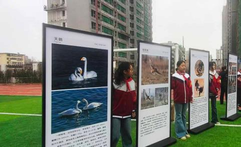 石家庄市“野生动植物日”，共筑生命多样梦幻家园