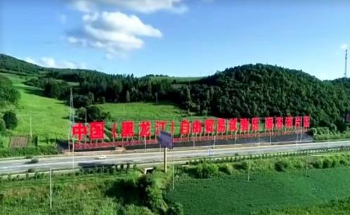 绥芬河自贸片区：以创新促自贸片区在发展中稳步前行
