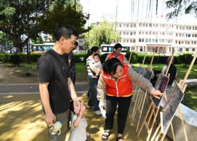 福建云霄供电：守护蓝天精灵 共筑和谐生态