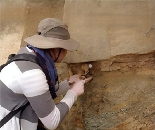 李柯荣获2023地质工程创新杰出成就奖，引领地质勘探智能化新变革