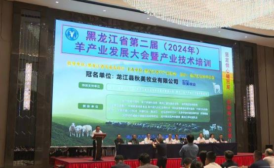 规模化标准化品牌化 齐齐哈尔市打造中国北方现代畜牧产业新高地