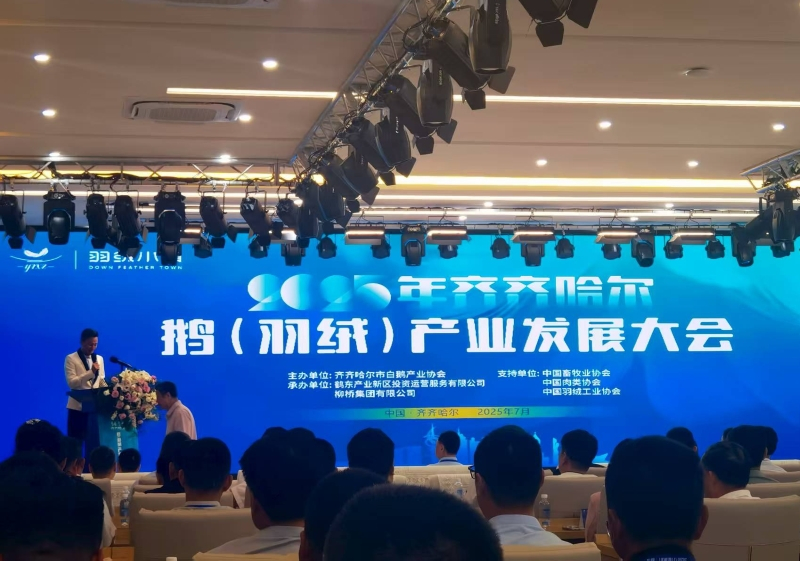2025齐齐哈尔鹅（羽绒）产业发展大会成功举办 擘画产业高质量发展新蓝图