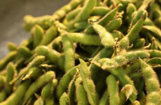 依安县毛豆订单种植喜获丰收 农产品深加工项目助推乡村振兴