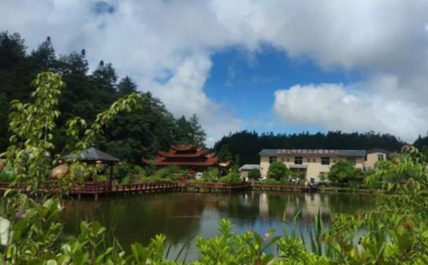 紫云村：高山之巅的乡村振兴实践，乡村CEO引领农文旅融合新路径