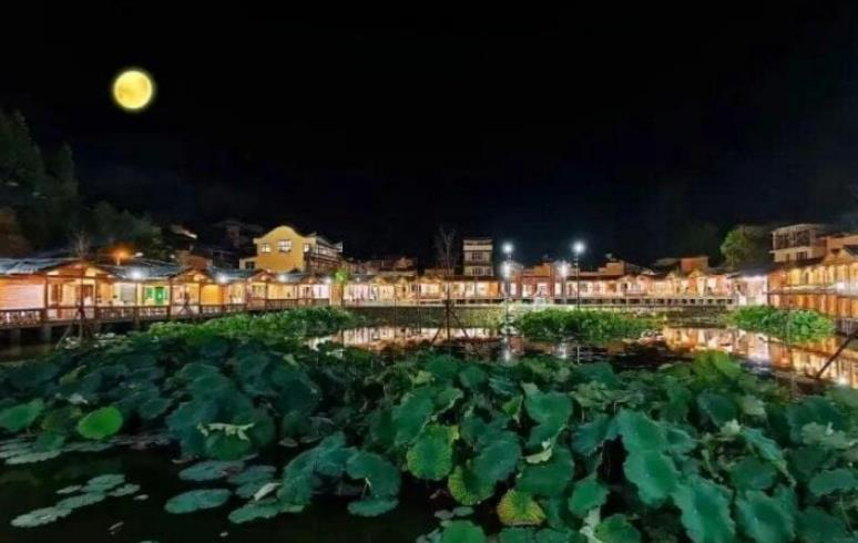 屏南文创赋能乡村振兴：艺术点亮古村，活力重归田野