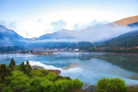 首届福建旅居产业发展研讨会“花落”永泰：生态人文“双轮驱动” 激活康养新引擎