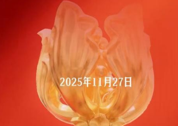 润星集团捐赠200万元人民币驰援香港