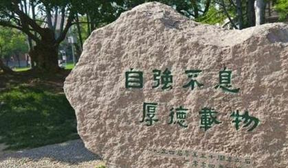 坤卦的经济智慧 | 厚德载物 - 从基础到可持续增长之道