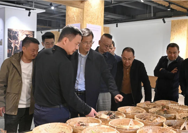 株洲石峰、荷塘“携手”取经：共探农文旅融合发展新路径 共绘乡村振兴新篇章