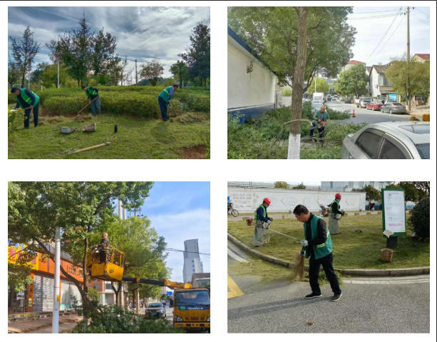 醴陵市城管局启动冬季绿化精细养护，守护城市生态底色