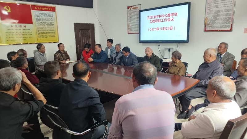 新桥“兵支书”：退伍不褪色，乡村振兴展风采