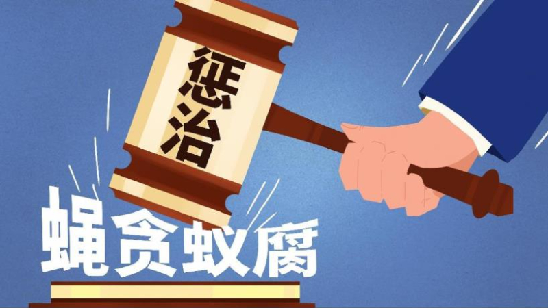 两高亮剑群众身边“蝇贪蚁腐”，五起民生领域腐败案例曝光