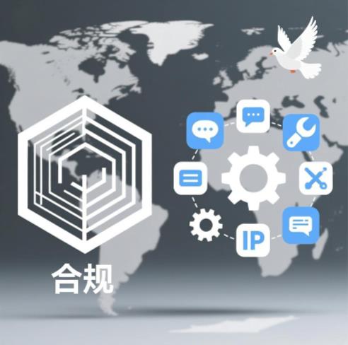 让合规成为竞争力 | 邓丽花：以原创IP工具与跨文化对话助推企业全球化