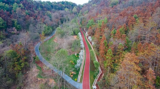 长株潭“绿色长城”开工建设，92.8公里绿道连接三城