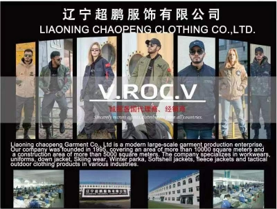 中国（鞍山）跨境电商综试区9610首单测试成功