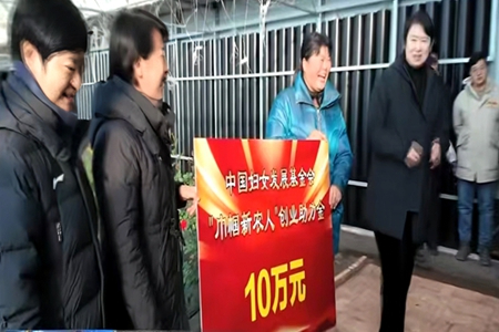 黑龙江妇联&ldquo;组合拳&rdquo;赋能：绥东村巾帼创业启新程