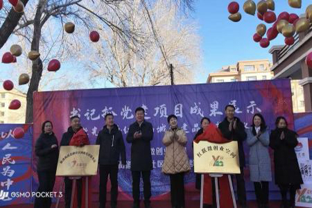 齐齐哈尔碾子山区&ldquo;书记抓党建&rdquo;成果丰硕，多元赋能构建基层治理新格局