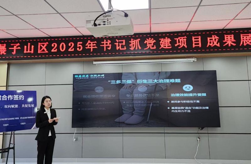 齐齐哈尔碾子山区&ldquo;书记抓党建&rdquo;成果丰硕，多元赋能构建基层治理新格局