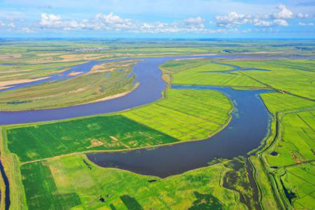 古榆树下米飘香 黑龙江泰来农场高端稻米产业提质升级之道