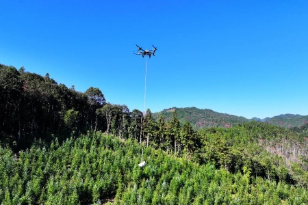 增绿生金 &ldquo;四库&rdquo;联动│长汀国有林场绿色共富实践筑牢根基