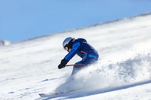 十载冰雪路 共绘新蓝图 - 哈尔滨召开&ldquo;冰天雪地也是金山银山&rdquo;理念十周年盛会