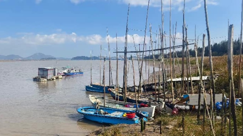 福建省旅居品牌创建专家组赴琅岐岛考察 谋划国际旅居示范岛建设新路径
