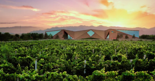 中国酿酒葡萄园碳汇交易首单落地！中粮长城天赋酒庄引领产业&ldquo;绿色价值&rdquo;